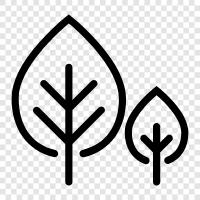 leaves, bark, branches, flowers icon svg