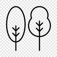 leaves, bark, trunk, branches icon svg