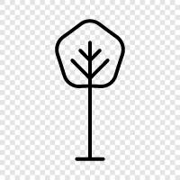 leaves, bark, roots, branches icon svg