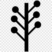 leaves, bark, branches, roots icon svg