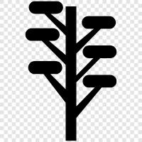 leaves, branches, bark, trunk icon svg