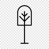 leaves, branches, bark, trunk icon svg