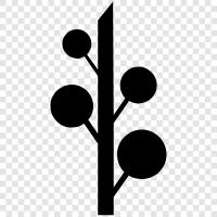 leaves, bark, branches, roots icon svg