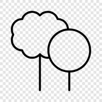 leaves, bark, trunk, branches icon svg