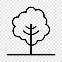 leaves, branch, stem, bark icon svg