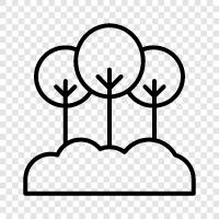 leaves, trunk, branches, bark icon svg