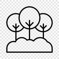 leaves, bark, roots, needles icon svg