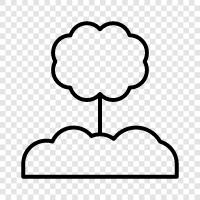 leaves, bark, trunk, branches icon svg