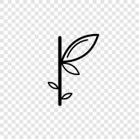 leaves, stem, growth, photosynthesis icon svg