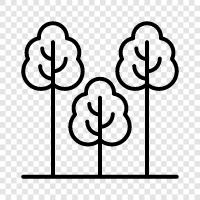 leaves, bark, branches, flowers icon svg