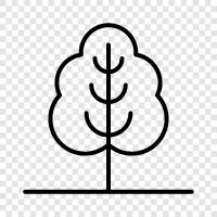 leaves, bark, trunk, branches icon svg