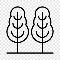 leaves, bark, branches, roots icon svg