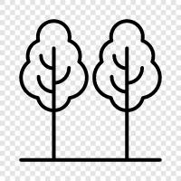 leaves, trunk, branches, bark icon svg