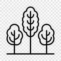 leaves, bark, branches, twigs icon svg