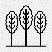 leaves, bark, trunk, branches icon svg