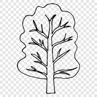 leaves, bark, branches, roots icon svg