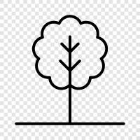 leaves, branch, trunk, bark icon svg