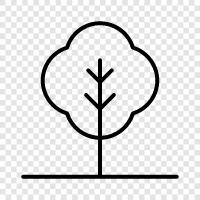 leaves, bark, branches, flowers icon svg