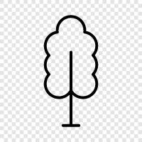 leaves, bark, trunk, branches icon svg