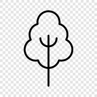 leaves, bark, branches, twigs icon svg