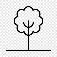 leaves, bark, sap, flowers icon svg