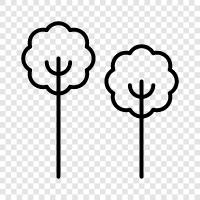 leaves, branches, bark, tree icon svg