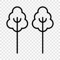 leaves, bark, flowers, trunk icon svg