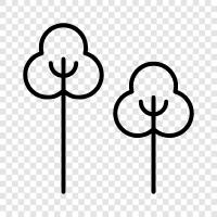 leaves, bark, roots, flowers icon svg