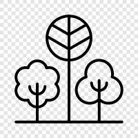 leaves, bark, green, growth icon svg