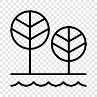 leaves, bark, growth, branches icon svg