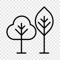 leaves, bark, branches, flowers icon svg