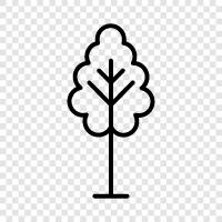 leaves, bark, branches, roots icon svg