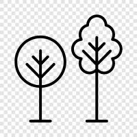 leaves, bark, branches, needles icon svg