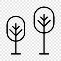 leaves, bark, branches, flowers icon svg