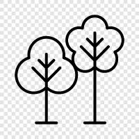 leaves, bark, branches, roots icon svg