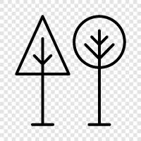 leaves, bark, height, health icon svg