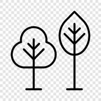 leaves, bark, sap, flowers icon svg