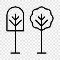 leaves, bark, branches, roots icon svg