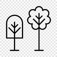 leaves, branches, bark, flowers icon svg