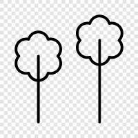 leaves, bark, branches, flowers icon svg