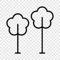 leaves, bark, trunk, branches icon svg