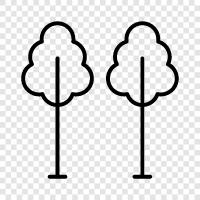 leaves, branches, bark, needles icon svg