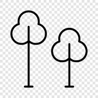 leaves, branches, trunk, roots icon svg