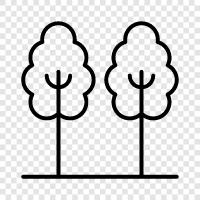 leaves, branches, bark, flowers icon svg