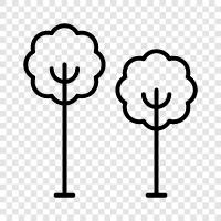 leaves, bark, branches, seed icon svg