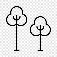 leaves, bark, branches, trunk icon svg