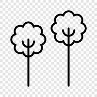 leaves, bark, branches, roots icon svg