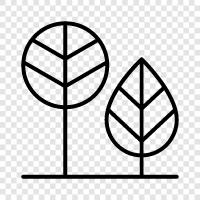 leaves, bark, flowers, growth icon svg