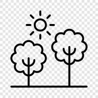 leaves, trunk, branches, sap icon svg