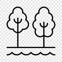 leaves, bark, roots, trunk icon svg